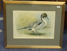 BASIL EDE (b1931) two limited edition ducks prints, signed in pencil, each numbered 90 from an