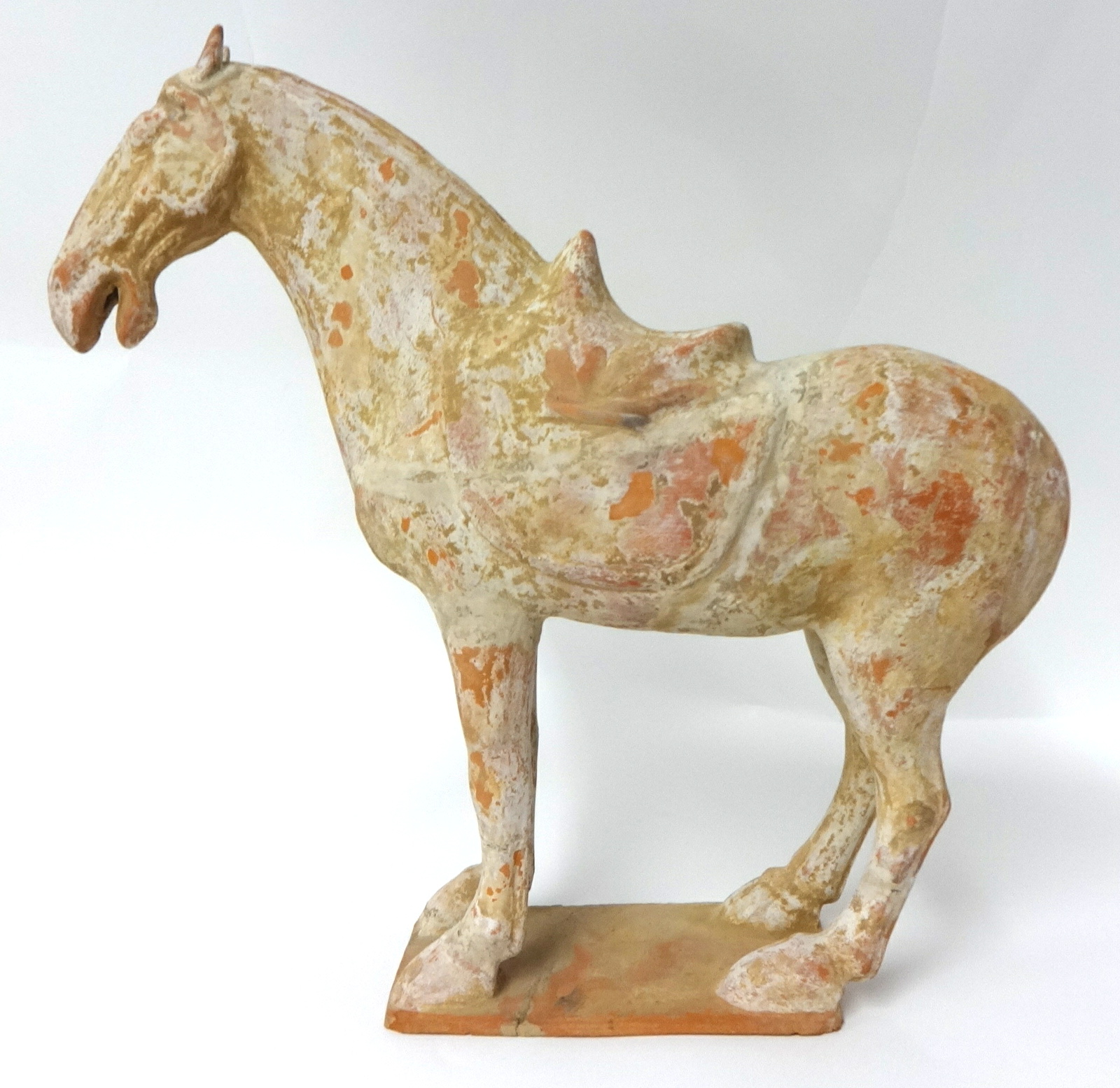 A Chinese pottery model of a saddled standing horse, probably Tang dynasty, white and red