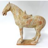 A Chinese pottery model of a saddled standing horse, probably Tang dynasty, white and red