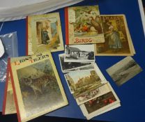 Six Edwardian children's books/magazines and postcards.