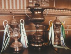 A photo on canvas 'Trophies', exhibited at the exhibition 'The History of Plymouth Argyle' at the