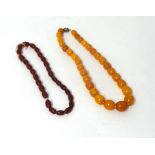 A butterscotch amber bead necklace, composed of 30 graduated beads from 14 - 10 mm, weight 28