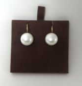 A pair of continental gold mounted cultured pearl ear rings, set with a 12 mm bead.