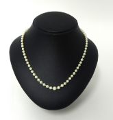 A cultured pearl necklace of graduated form.