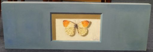 LEE WOODS  oil on wrap around board 'Butterfly', signed, 91cm x 30cm.