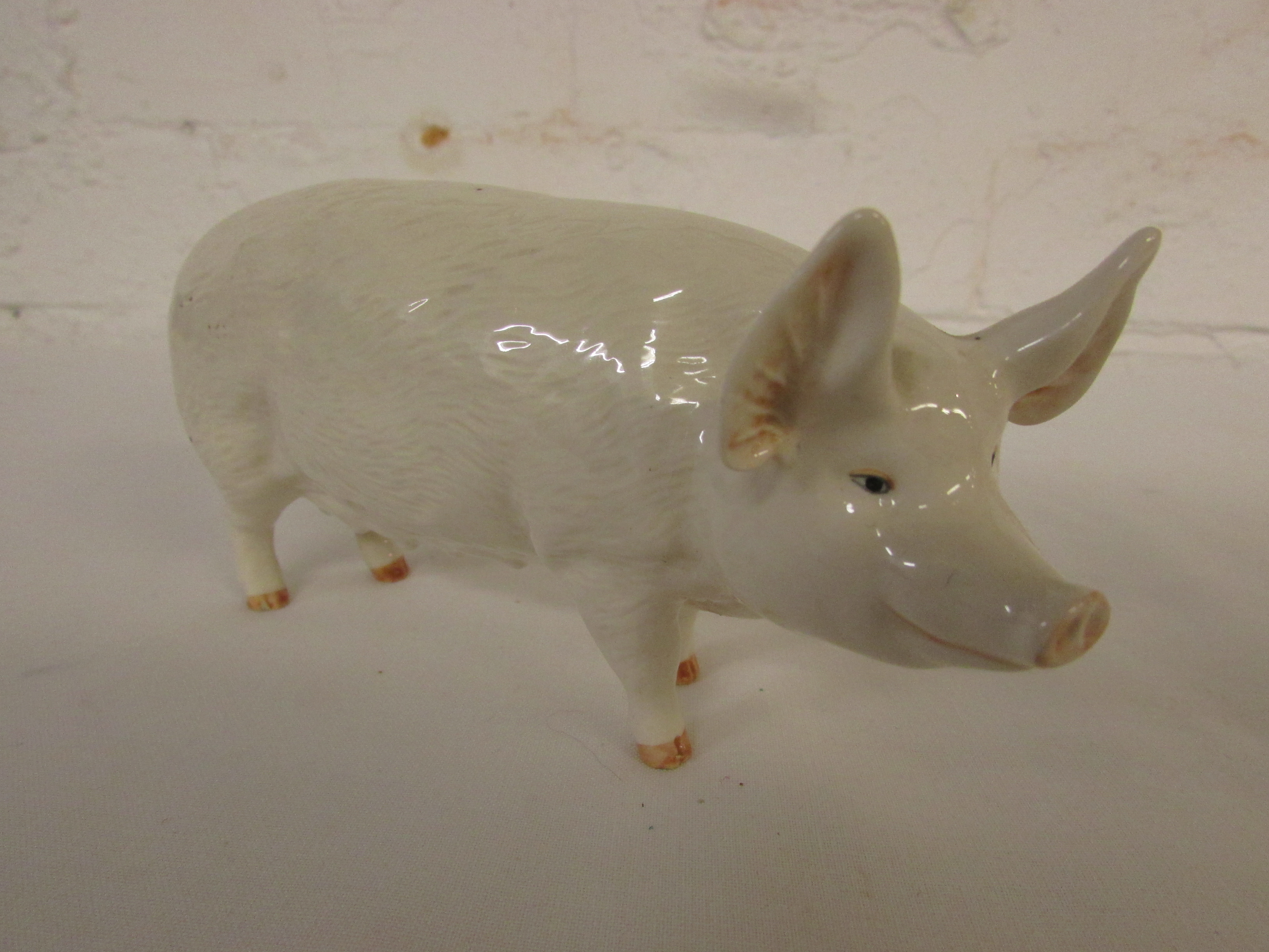 Beswick model of white pig CH. WALL QUEEN 40 length 15.5cm, marked Beswick England