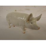 Beswick model of white pig CH. WALL QUEEN 40 length 15.5cm, marked Beswick England