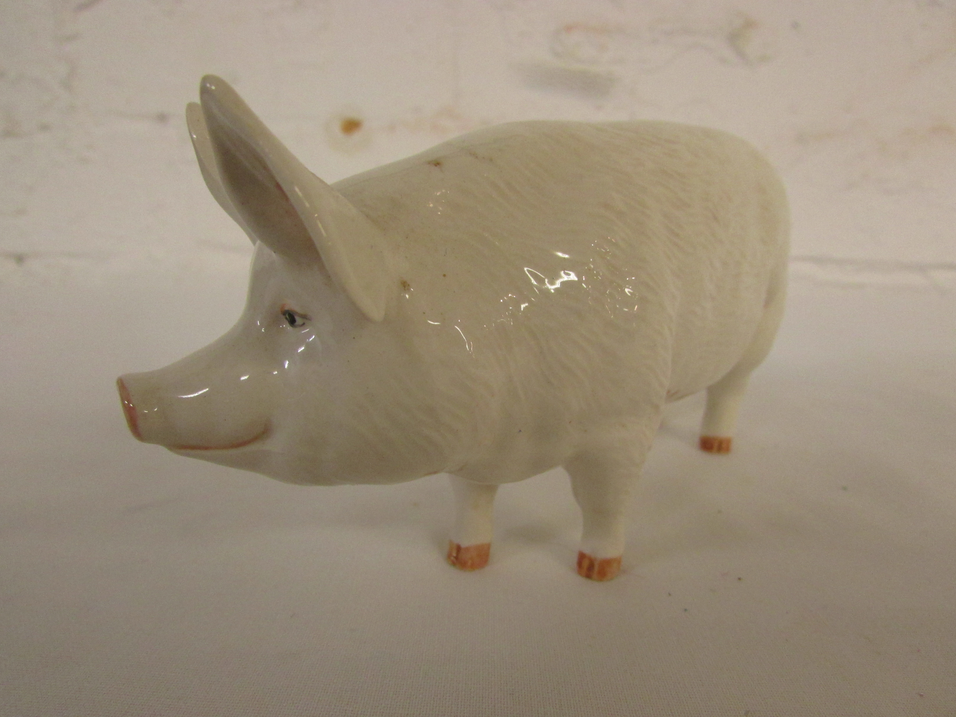 Beswick model of white pig CH. WALL QUEEN 40 length 15.5cm, marked Beswick England - Image 2 of 3