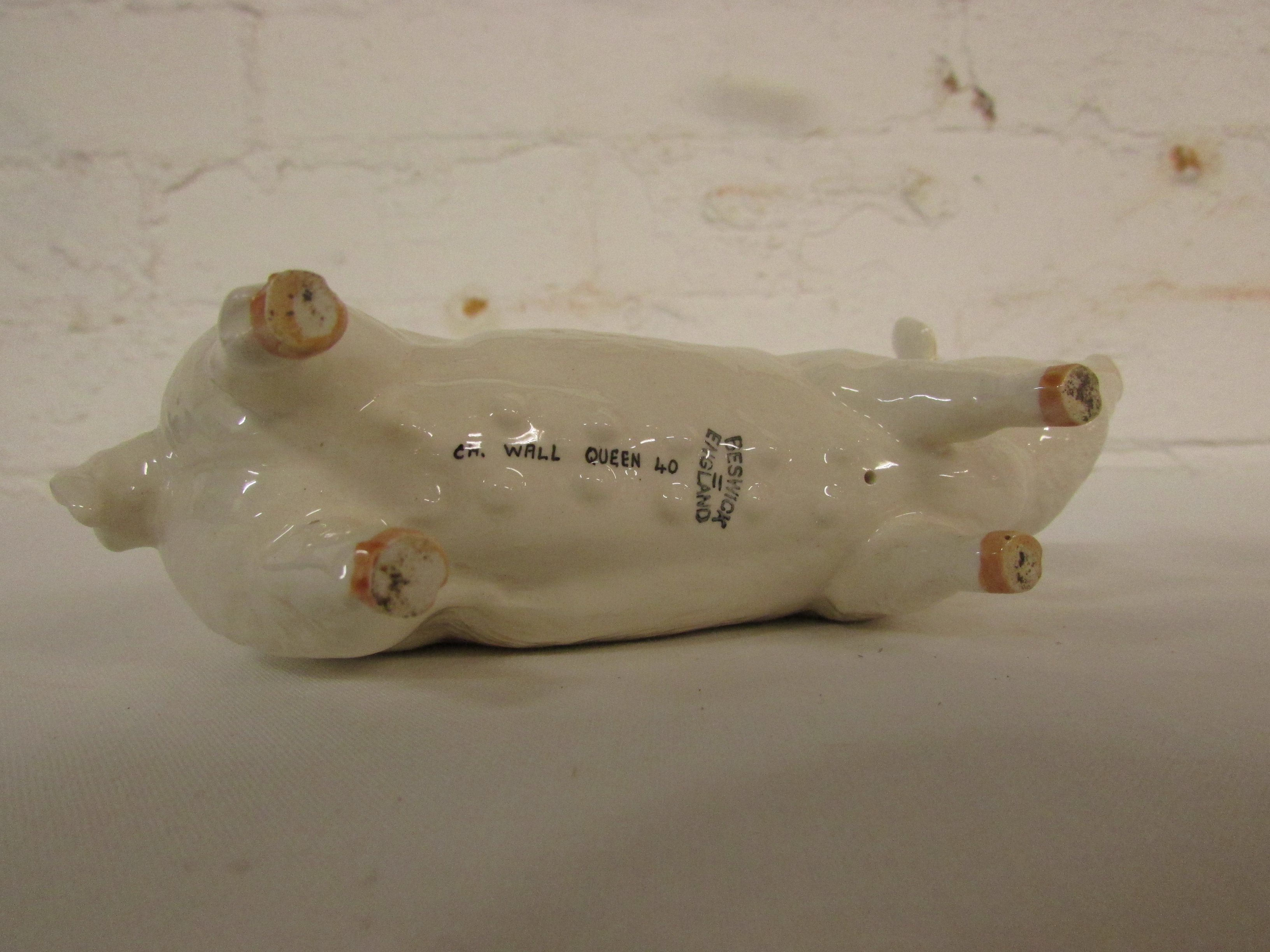 Beswick model of white pig CH. WALL QUEEN 40 length 15.5cm, marked Beswick England - Image 3 of 3