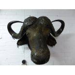 A large wall mounted buffalo's head