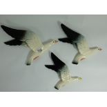 Set of three Beswick flying Seagull wall