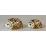 Royal Crown Derby paperweight Hawthorn Hedghog and small bramble Hedgehog ( cracked) , both limited