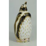 Royal Crown Derby paperweight Galapagos Penguin, gold stopper, boxed