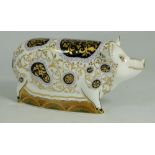 Royal Crown Derby paperweight Spotty Pig , Visitors centre special with gold stopper, boxed