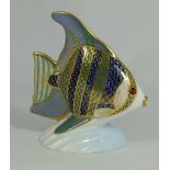 Royal Crown Derby paperweight Angel Fish with gold stopper, boxed