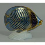 Royal Crown Derby paperweight Cheveroned Butterfly Fish with gold stopper, boxed