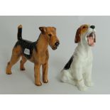 Royal Doulton character Dog Yawning HN1099 (leg re stuck) and Airedale Terrier HN1024  (2)