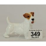 Royal Doulton model of Sealyham terrier HN2509