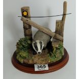 Border Fine Arts Badger under gate " The Rambler" signed by Ray Ayres