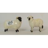 Beswick sheep 935 and black faced sheep 1765  (2)