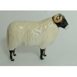 Beswick Swaledale Ewe,