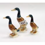 Beswick graduated Mallard Ducks 756-2,