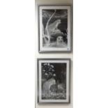 Two large framed Majorie Chadwick Harris Prints of otters and hedgehogs (2)