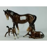 Beswick Stretched Foal 815,