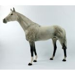Beswick grey large Racehorse 1564