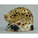 Royal Crown Derby paperweight Savannah leopard, limited edition for Sinclairs, Gold stopper,
