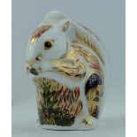 Royal Crown Derby paperweight Stoney Middleton Squirrel, limited edition for Sinclairs,