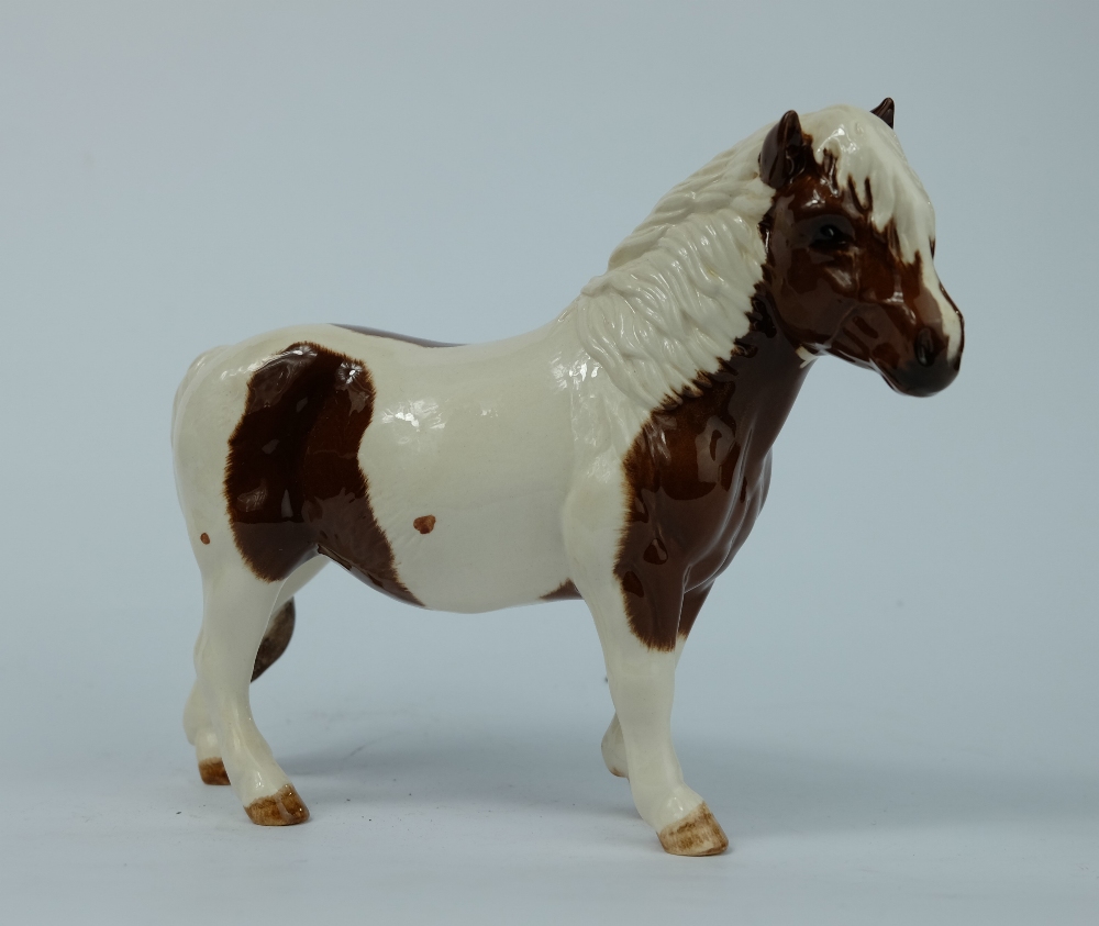 Beswick Shetland Pony hollywell Dixie ,