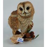 Country Artist Tawney Owl with Redwood cone