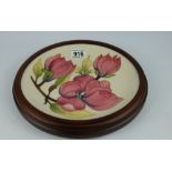 Moorcroft charger in wood frame decorated in the magnolia design,