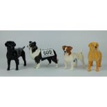 A collection of small Beswick dogs to include Jack Russell Terrier 2109,