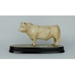 Beswick Charolais Bull 2463 and Calf 1827b on oval ceramic base (calf unattached)