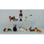 A collection of Royal Doulton miniature dogs and cats comprising seated bulldog K2, Terrier K7,