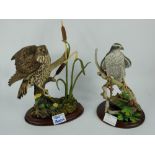 Country Artists Goshawk by David Ivey and Hen Hunter (2)