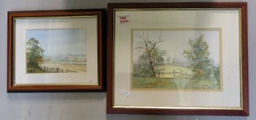Two framed watercolours under glass of l