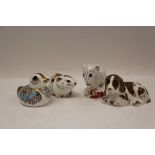 Four Royal Crown Derby paperweights - Bank Vole, Derby Dormouse, Scruff and Duckling, all boxed