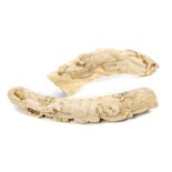 Two Japanese Meiji period carved ivory tusks, each finely carved with mischievous monkeys in trees,