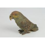 19th century Austrian cold painted bronze model of a parakeet, stamped Gerschutzt,