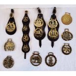 Various horse brasses