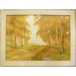 C. N. Rowe - a watercolour depicting an autumnal wooded landscape - 20 1/2" x 29 1/4"