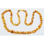 A long string of natural butterscotch amber beads