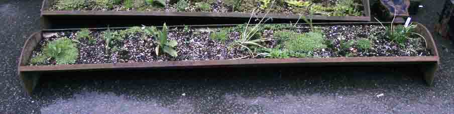 A 6' 11" antique cast iron feeding trough, currently a planter