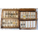 Two boxes of vintage botanical microscope slides