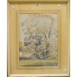 Donald Greig: a framed watercolour "Trees at Woodleigh Mill"