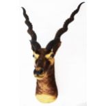 An antique stuffed and mounted male blackbuck's head with steel hanging loop