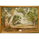 J. Heys, Australia: a signed watercolour depicting Red Gum Trees in the Flinders Ranges - letter